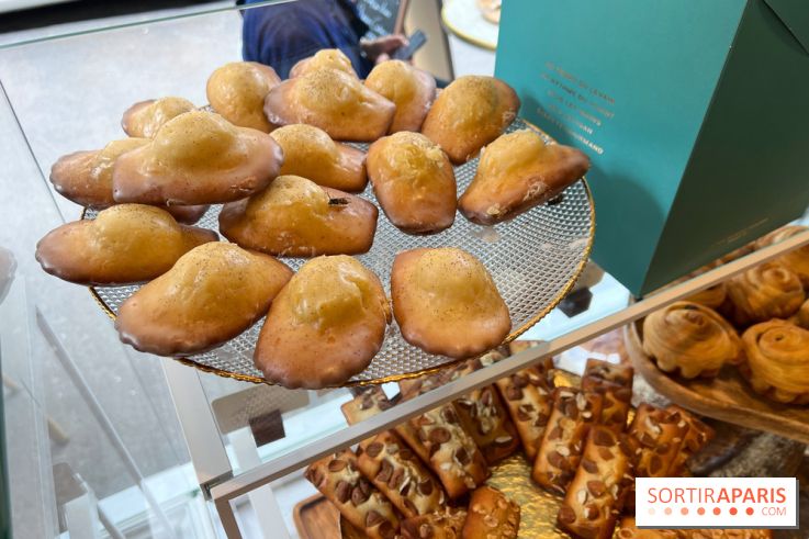 Christophe Louie - Madeleines