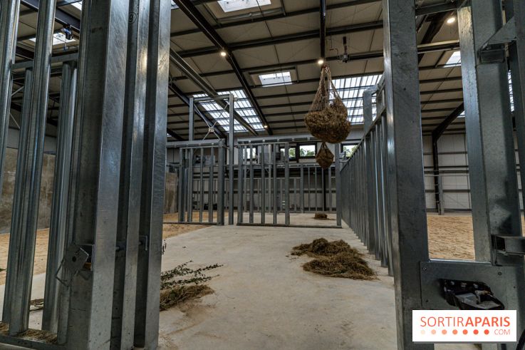 Les lodges de Thoiry - dormir à Thoiry en Terres d'Afrique - Photos -  A7C3254