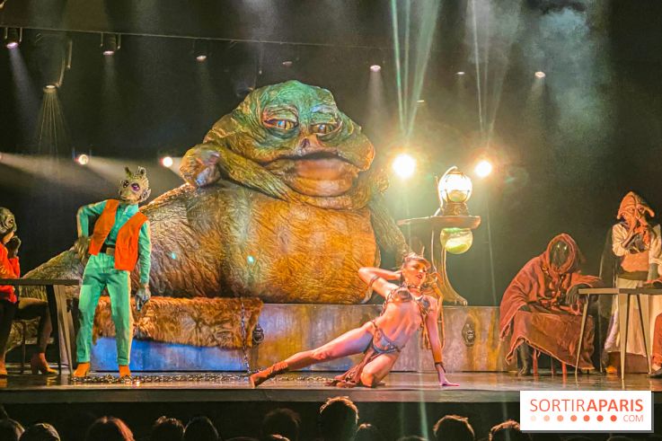 Star Wars The Empire Strips Back