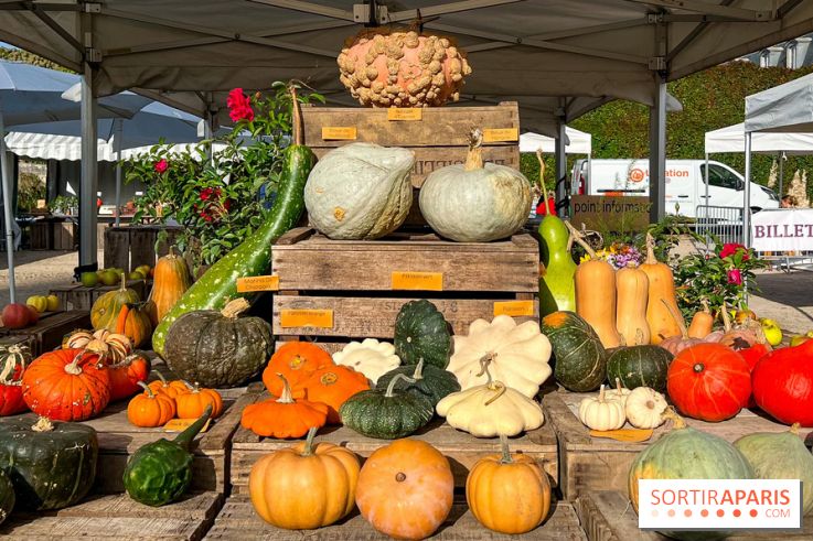 Automne au Potager du Roi - Citrouilles - Halloween