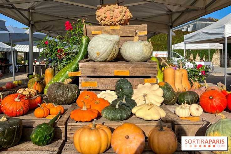Automne au Potager du Roi - Citrouilles - Halloween