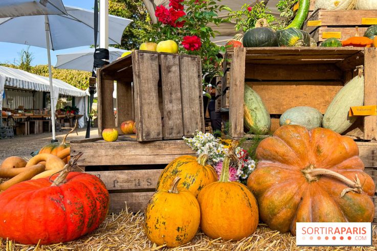 Automne au Potager du Roi - Citrouilles - Halloween