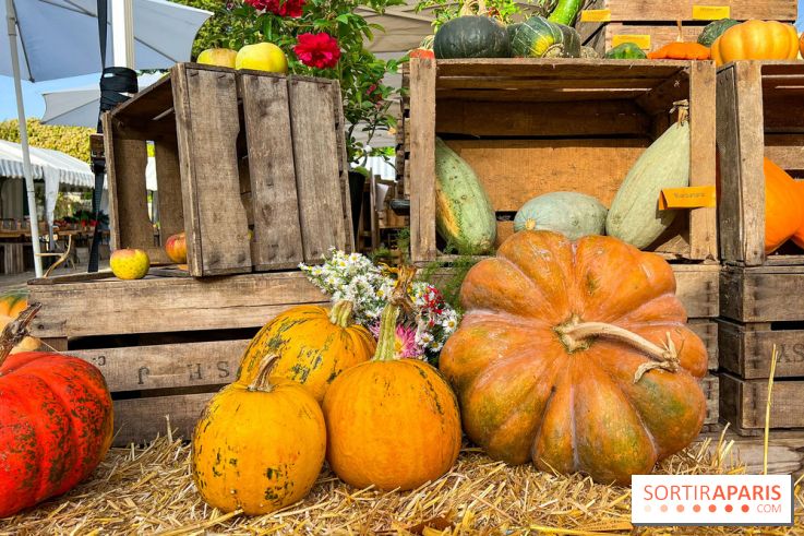 Automne au Potager du Roi - Citrouilles - Halloween