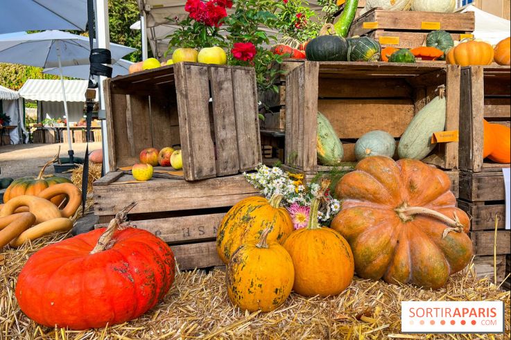 Automne au Potager du Roi - Citrouilles - Halloween