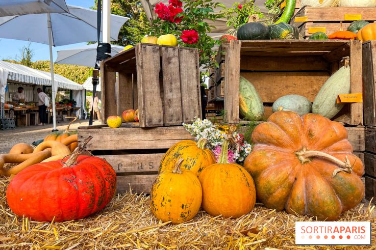 Automne au Potager du Roi - Citrouilles - Halloween
