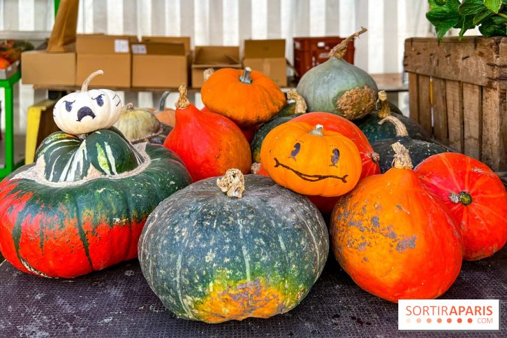 Automne au Potager du Roi - Citrouilles - Halloween
