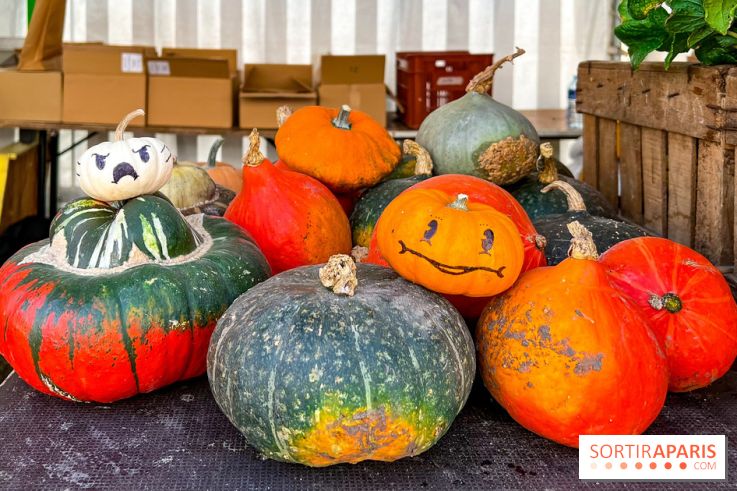 Automne au Potager du Roi - Citrouilles - Halloween