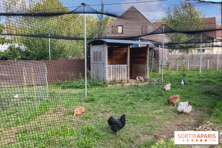 La ferme pédagogique du parc des Chanteraines - image00046