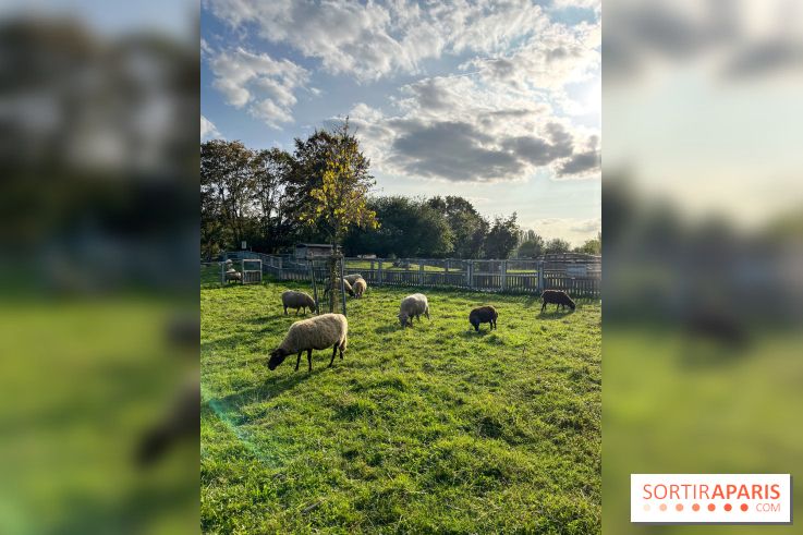 La ferme pédagogique du parc des Chanteraines