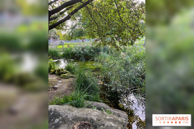 La ferme pédagogique du parc des Chanteraines - image00039