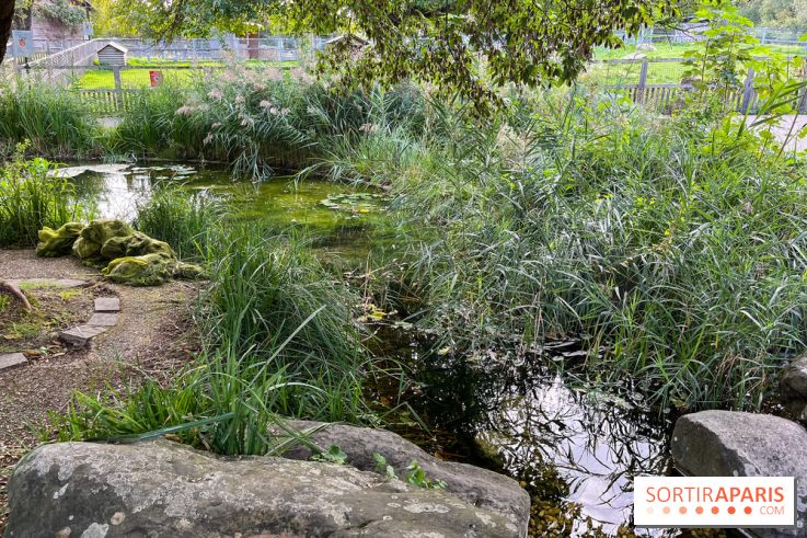 La ferme pédagogique du parc des Chanteraines - image00040
