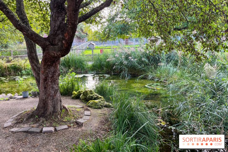 La ferme pédagogique du parc des Chanteraines - image00041