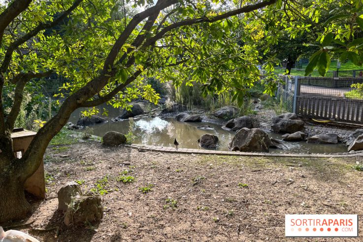 La ferme pédagogique du parc des Chanteraines - image00035