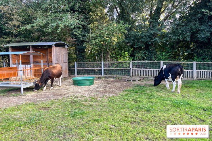 La ferme pédagogique du parc des Chanteraines