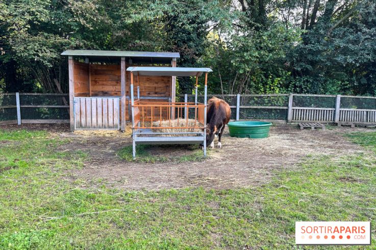 La ferme pédagogique du parc des Chanteraines - image00030