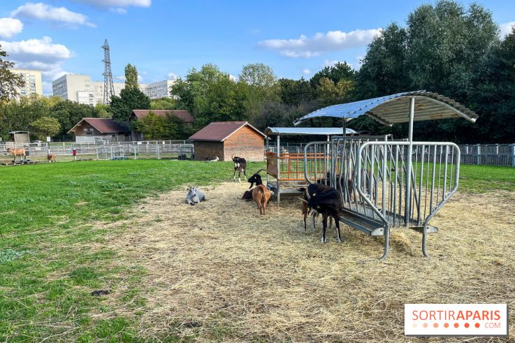 La ferme pédagogique du parc des Chanteraines