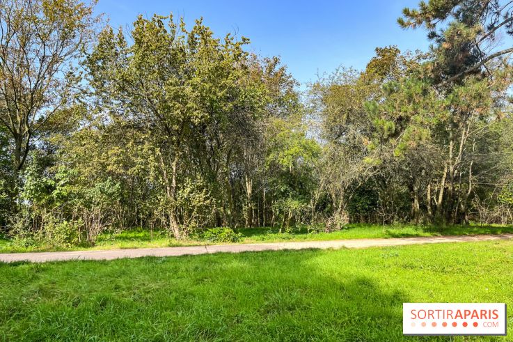 Le parc des Chanteraines - image00096