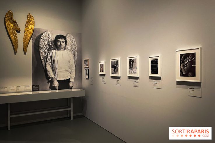 Exposition Viva Varda !