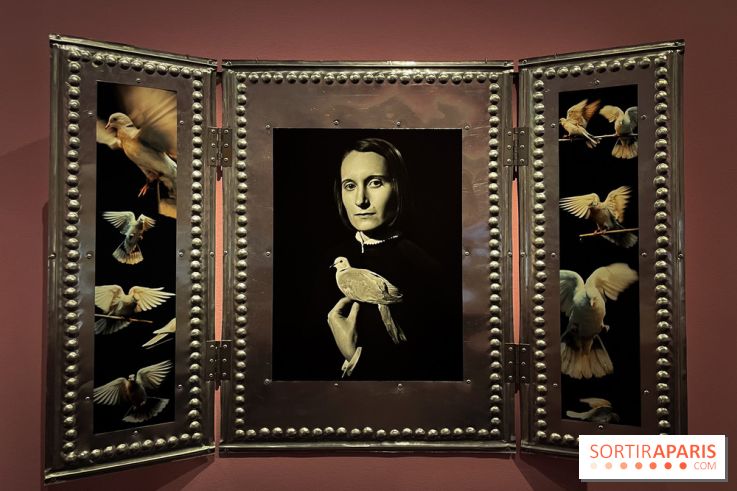 Exposition Viva Varda !