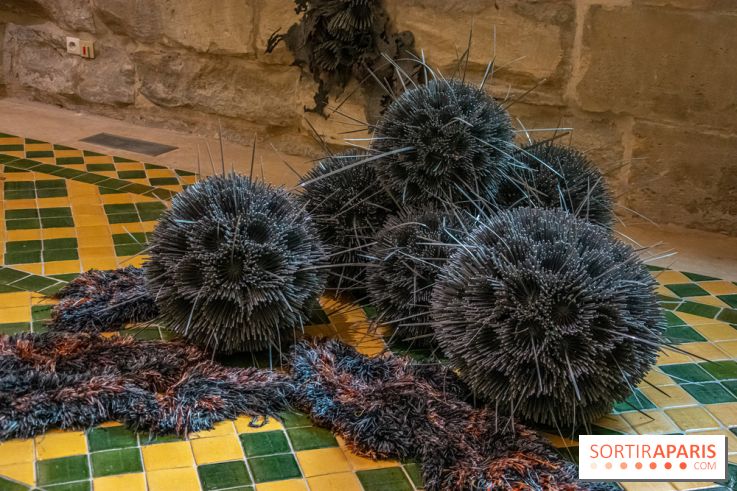 Exposition Entre Les Murs de Tanja Smeets et Karin van Dam Abbaye de Maubuisson