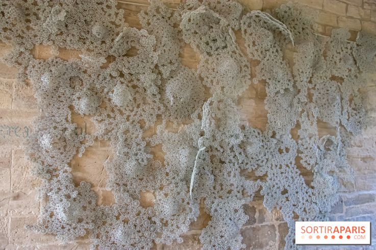 Exposition Entre Les Murs de Tanja Smeets et Karin van Dam Abbaye de Maubuisson