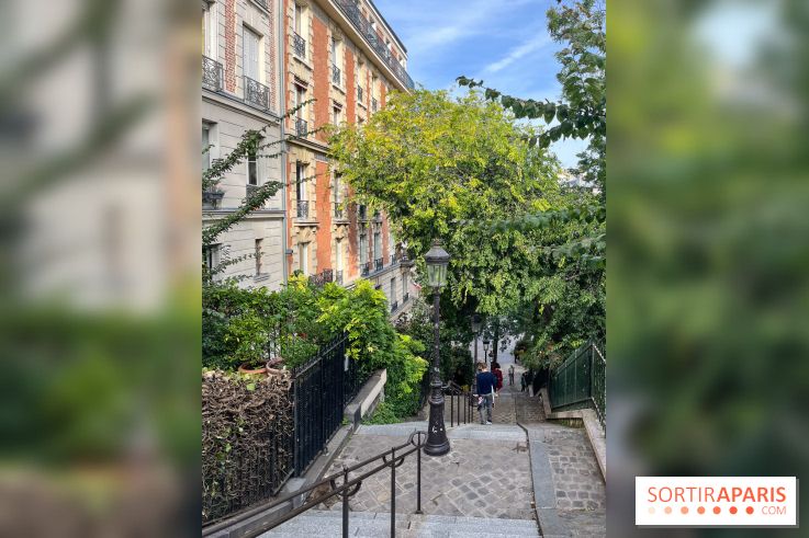 Vignes Montmartre