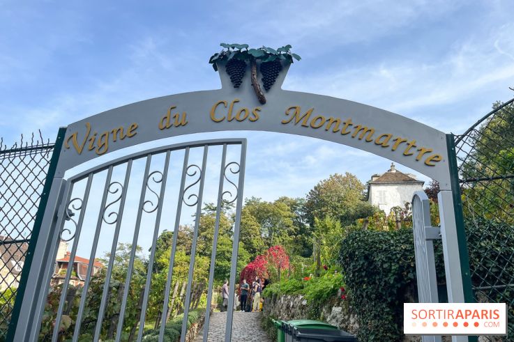 Vignes Montmartre