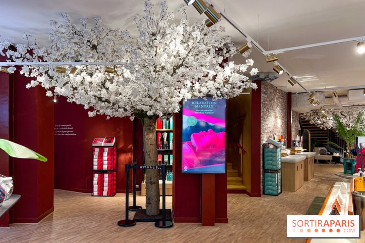 Rituals Mind Oasis - institut de relaxation mentale sur les Champs-Élysées - image00008
