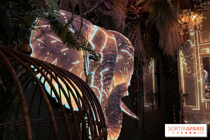 Jungle Palace, le nouveau restaurant immersif de Ephemera à Paris