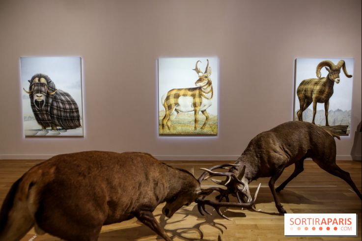 Sean Landers, les photos de son expo au Musée de la Chasse et de la Nature - IMG 1238