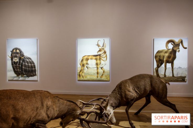 Sean Landers, les photos de son expo au Musée de la Chasse et de la Nature - IMG 1241