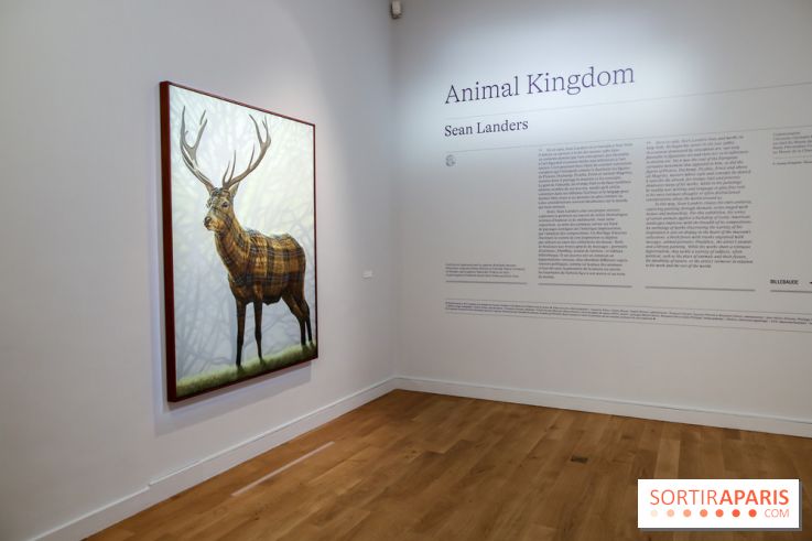 Sean Landers, les photos de son expo au Musée de la Chasse et de la Nature