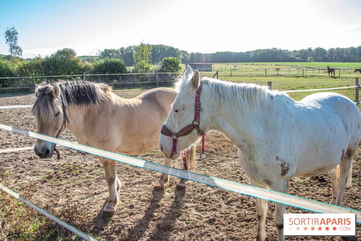La Prairie The Oasis House chevaux