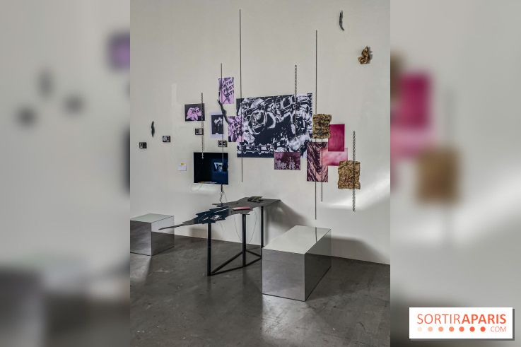 Exposition Hors de la nuit des normes Palais de Tokyo