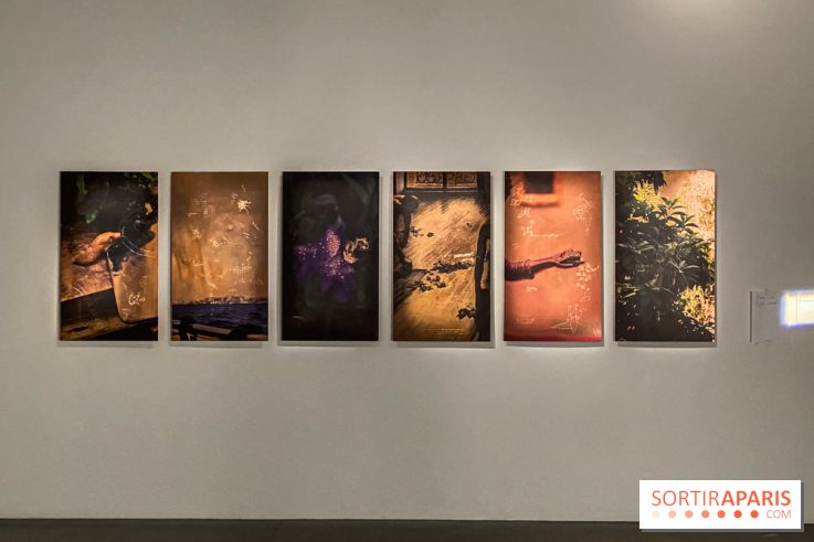 Exposition Hors de la nuit des normes Palais de Tokyo