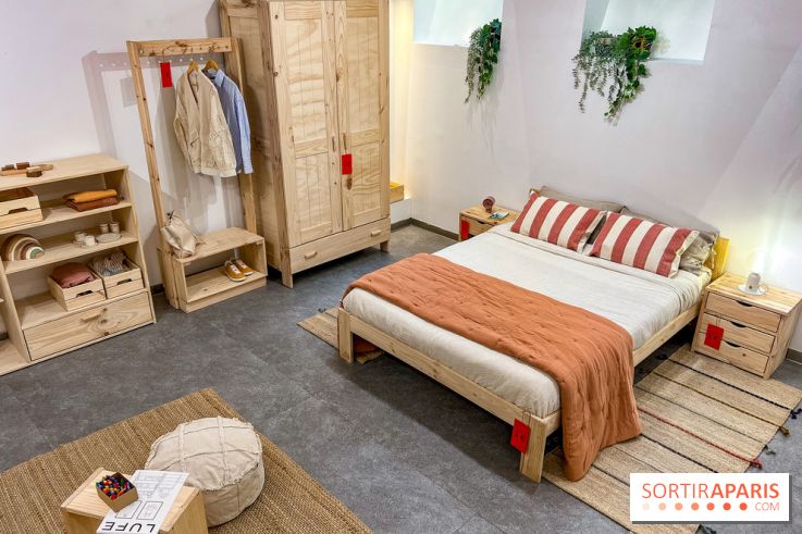 Exposition insolite et gratuite dédiée aux meubles moches  - image00025