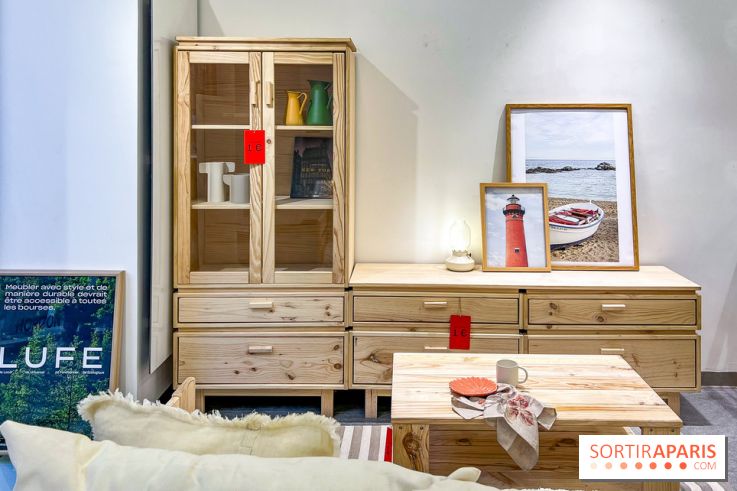 Exposition insolite et gratuite dédiée aux meubles moches  - image00028