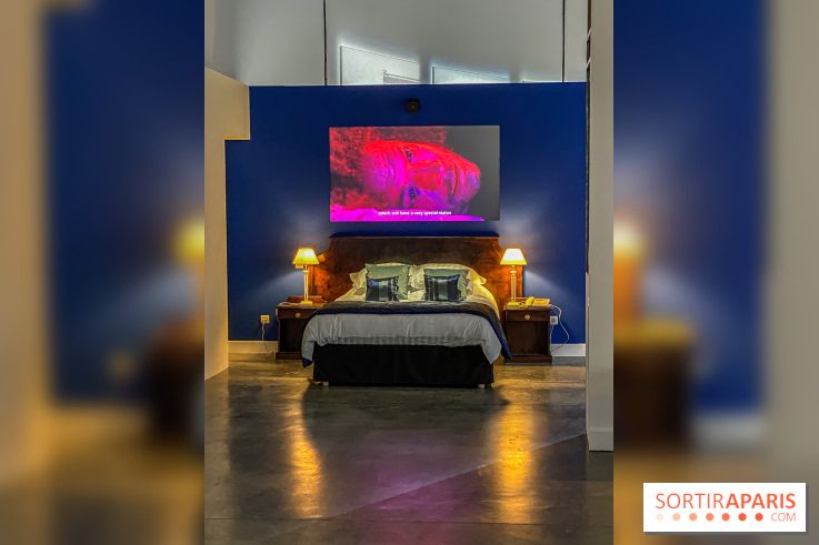 Exposition Lili Reynaud-Dewar Palais de Tokyo