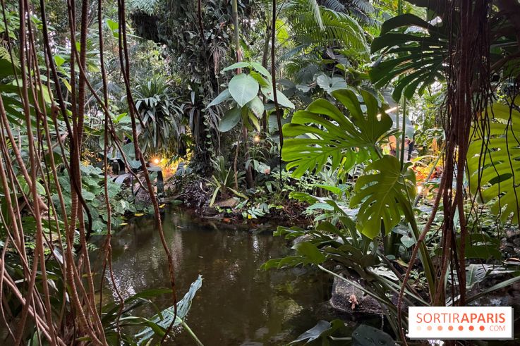 Automne Tropical 2023