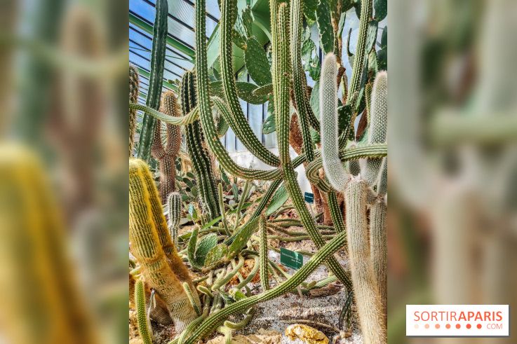 Automne Tropical 2023