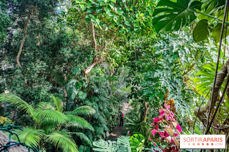 Automne Tropical 2023