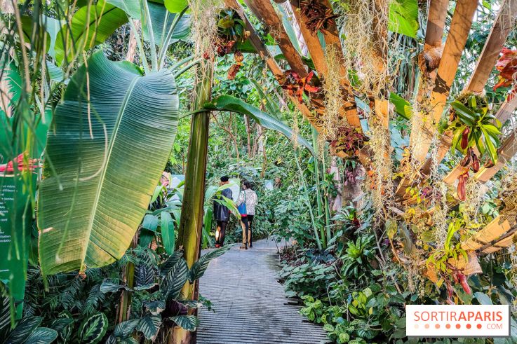 Automne Tropical 2023