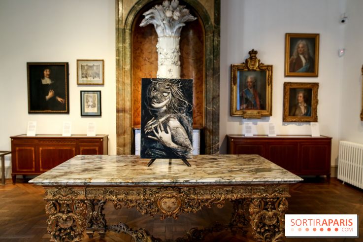 Sara-Vide Ericson : les photos de son expo à l'Institut suédois - IMG 1319