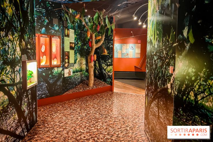 Choco Story, le musée du chocolat hyper gourmand à Paris