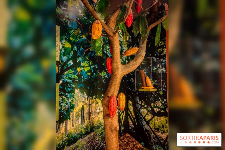 Choco Story, le musée du chocolat hyper gourmand à Paris