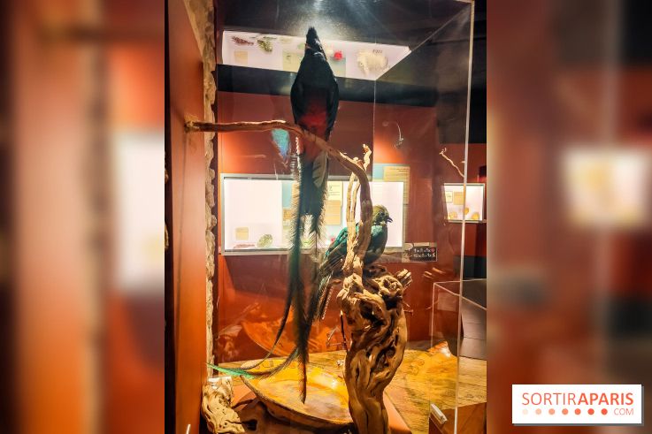 Choco Story, le musée du chocolat hyper gourmand à Paris