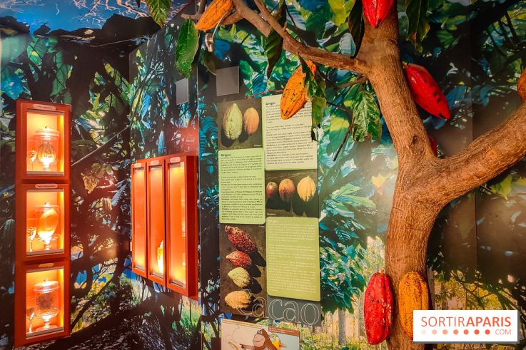 Choco Story, le musée du chocolat hyper gourmand à Paris