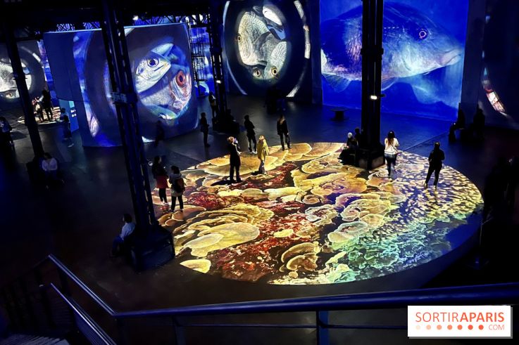 Océans, l'Odyssée Immersive à l'Atelier des Lumières - IMG 6110