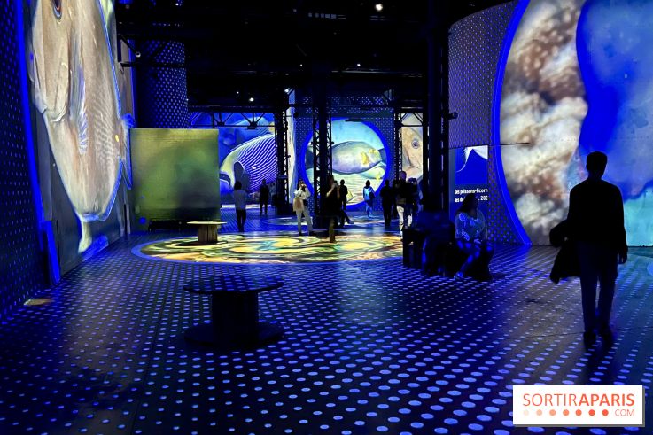 Océans, l'Odyssée Immersive à l'Atelier des Lumières - IMG 6117