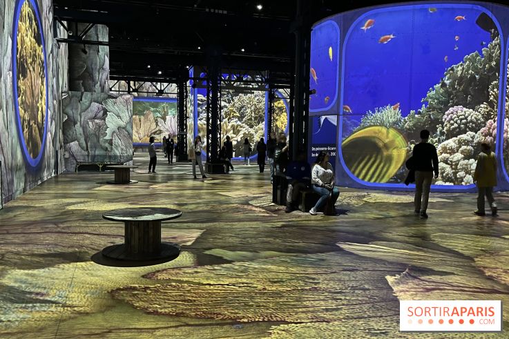 Océans, l'Odyssée Immersive à l'Atelier des Lumières - IMG 6118